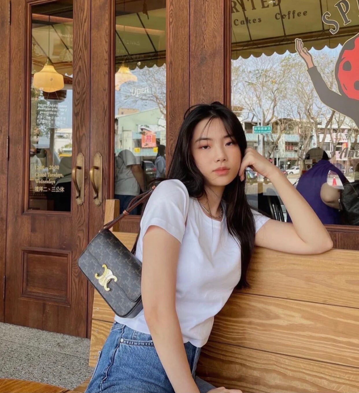 Celine Triomphe老花腋下包