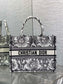 迪D家-2024春夏系列 Book Tote 太陽刺繡 黑白色 中號