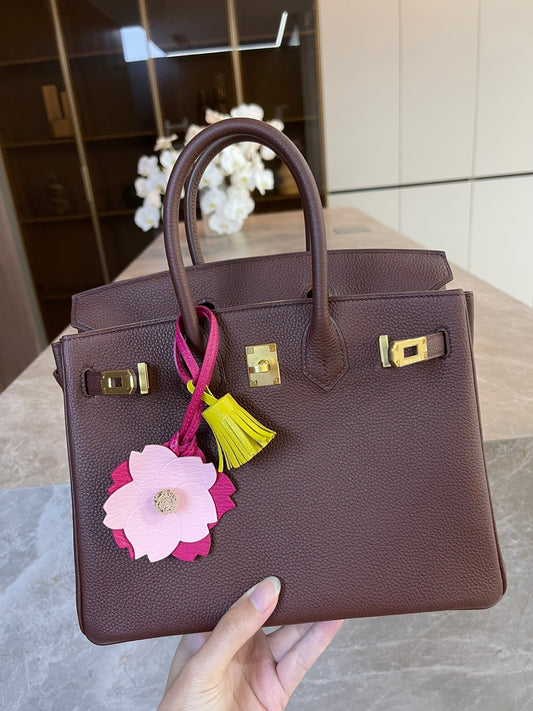 小愛款-Birkin 25 Togo 哈瓦那色 金扣