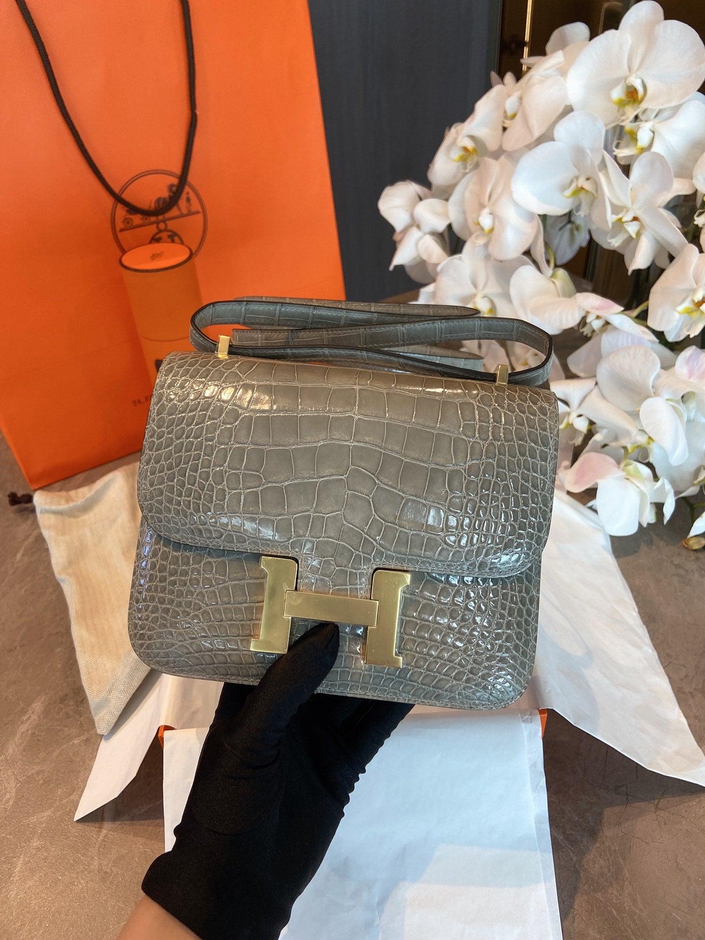小愛款-Constance Gris Tourterelle 81 斑鳩灰 鱷魚 金扣