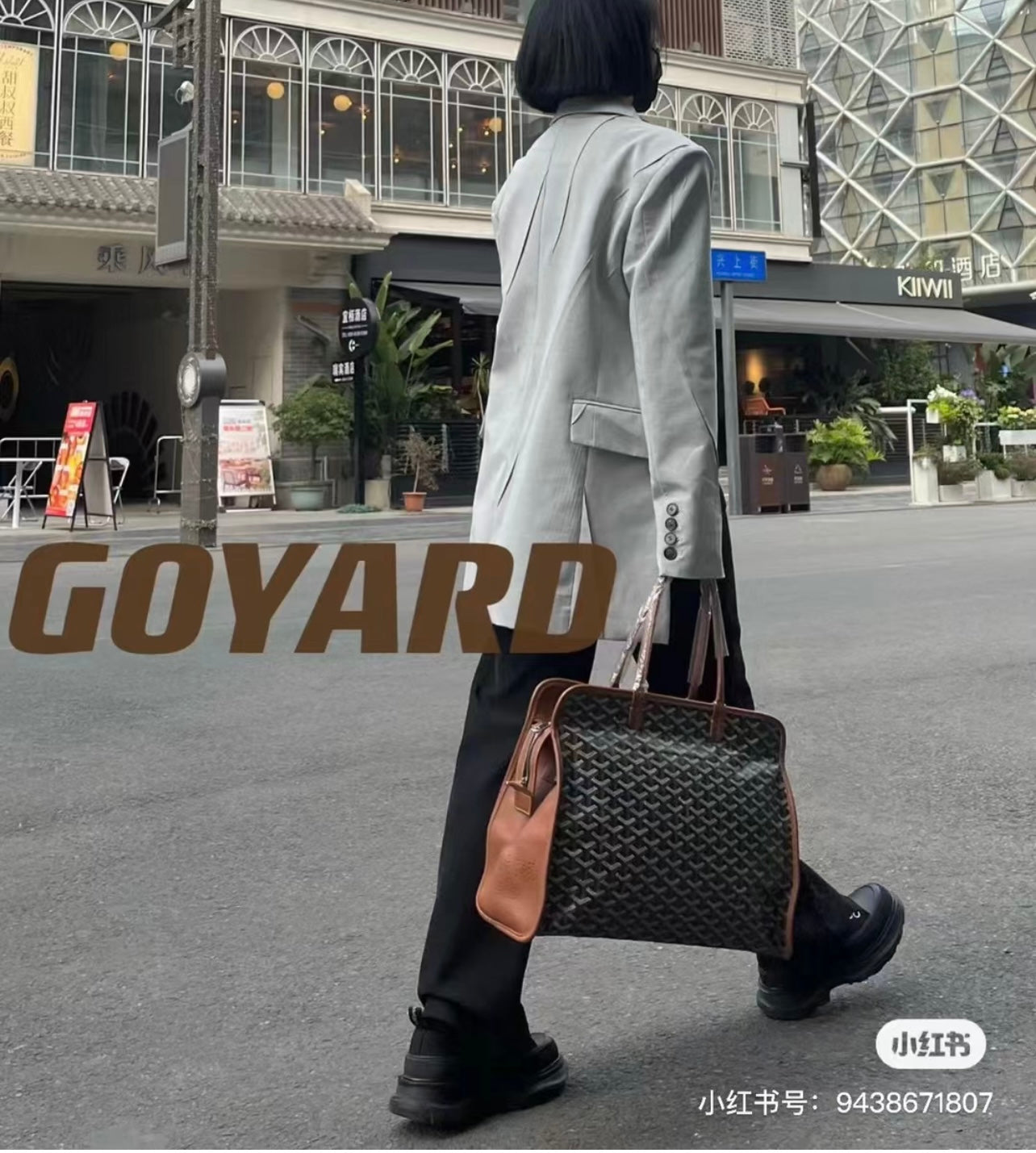 戈G家-Hardy 寵物包 棕色
