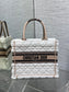 迪D家-Book Tote 2023秋冬毛毛系列 白杏色 小號