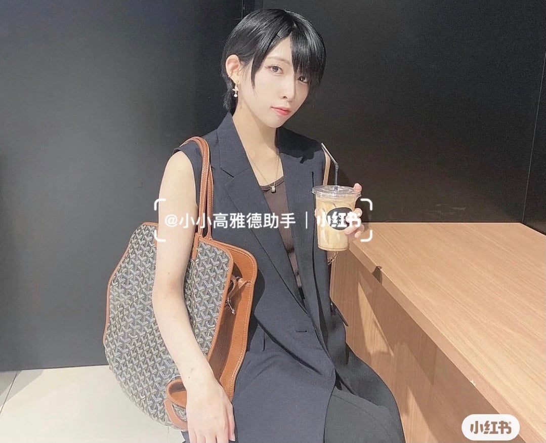 戈G家-Hardy 寵物包 棕色