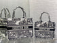 迪D家-Book Tote 2023春夏系列 老虎刺繡 白色 中號