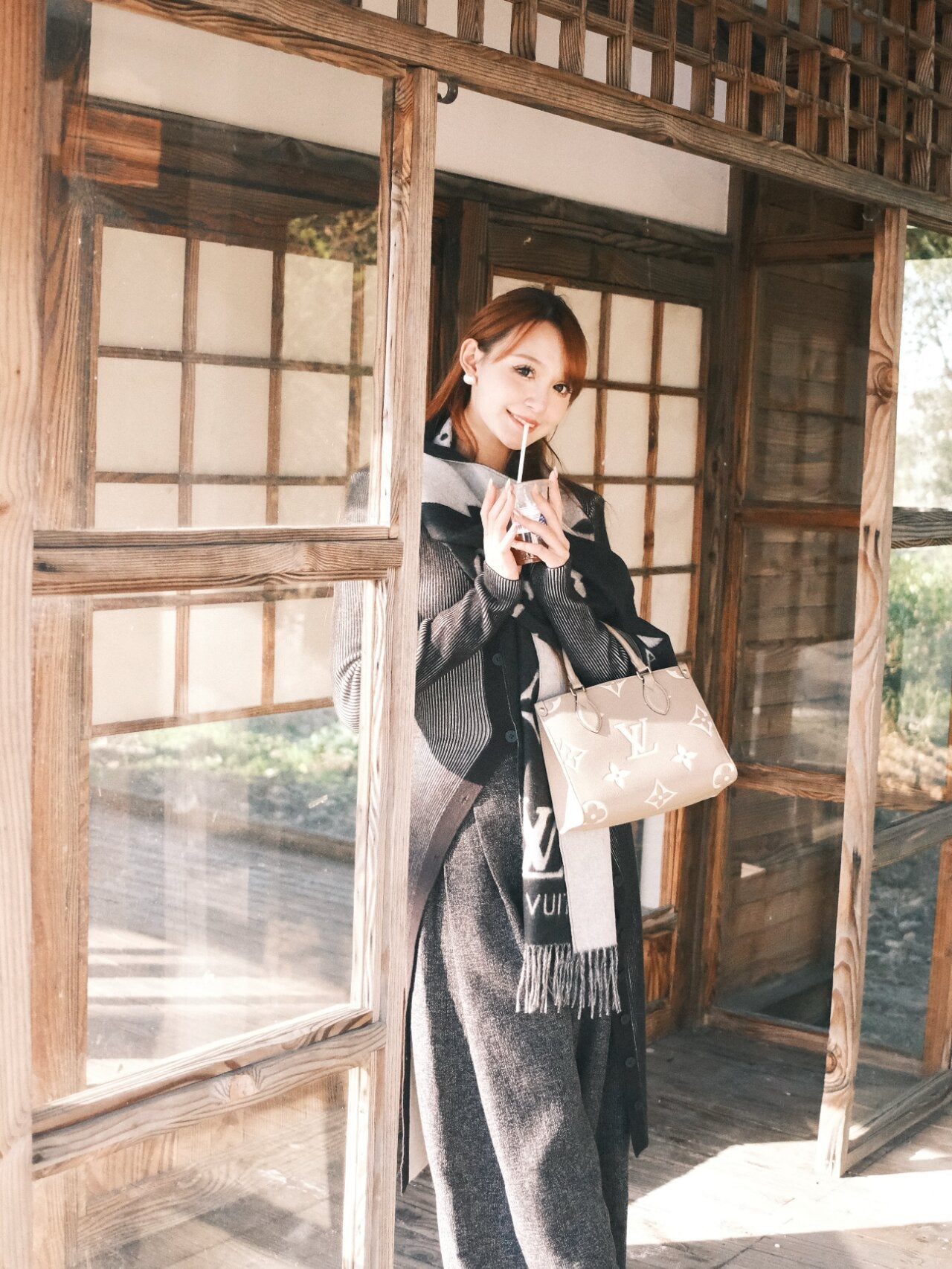 M45494 路L家-OnTheGo MM 斜跨手提包 斑鳩灰色