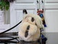 路L家-m11919 NANO TEDDY羊羔毛雙肩包 白色