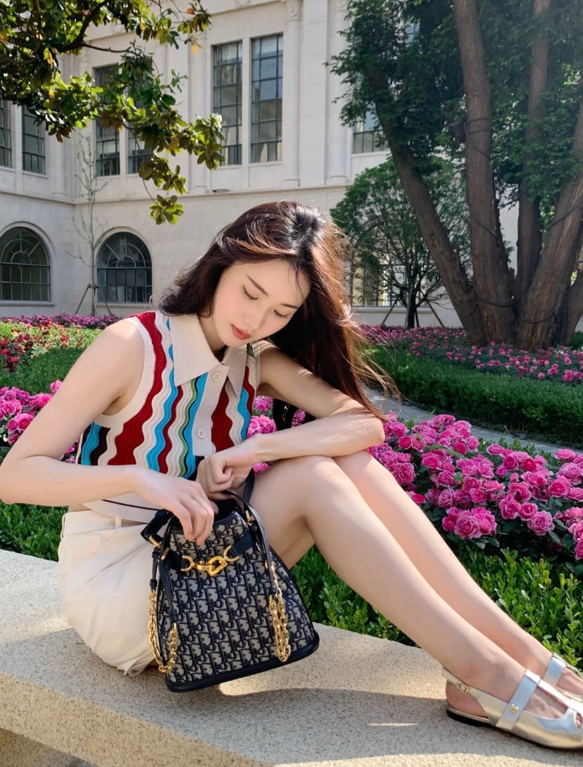 迪D家-2023秋季新款 C'EST DIOR 手袋 中號
