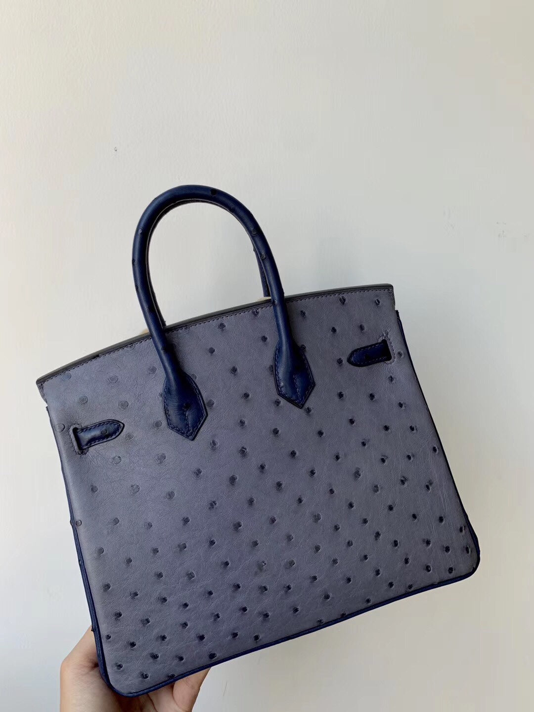 小愛款-Birkin 25 鴕鳥 金扣