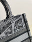 迪D家-2023春夏新款 Tote 巴黎地圖灰色 小號