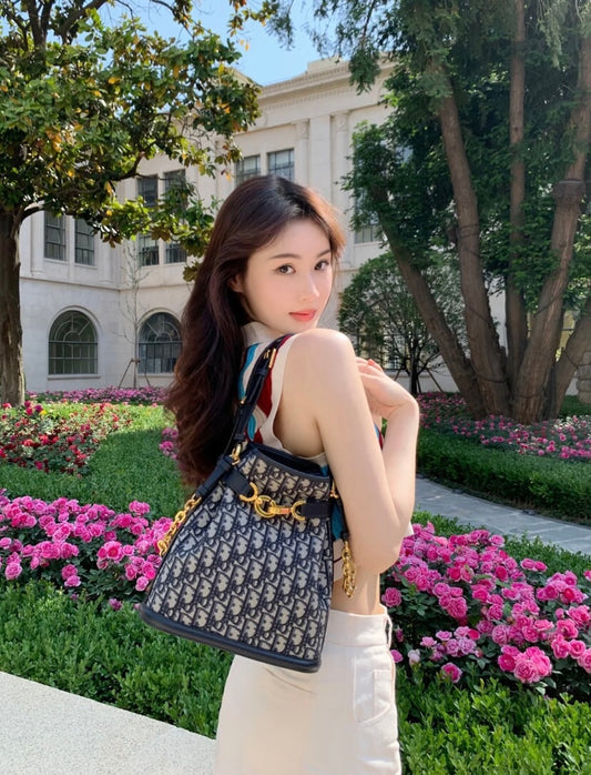 迪D家-2023秋季新款 C'EST DIOR 手袋 中號