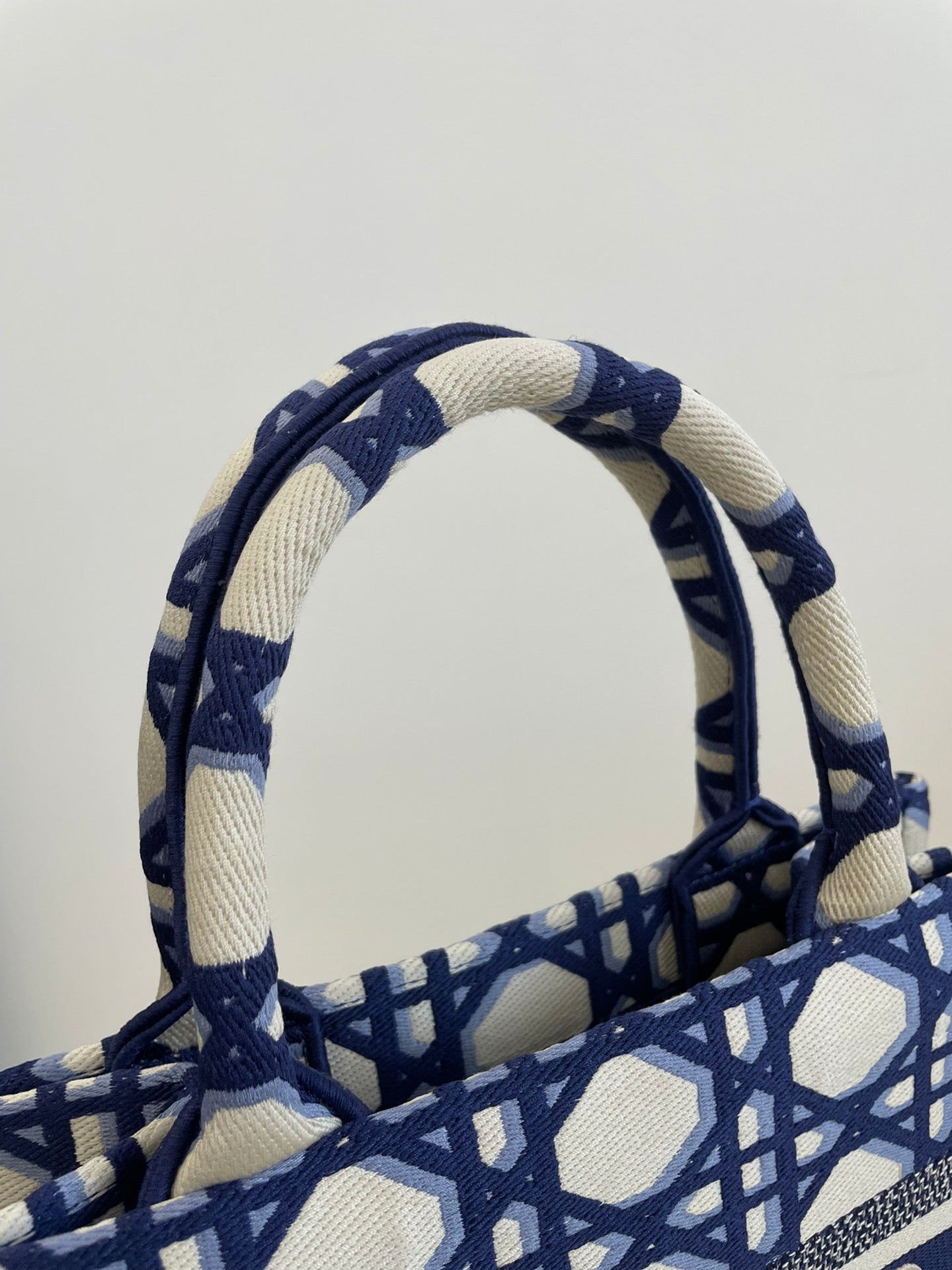 迪D家-2023春夏新款 Tote 藍白拼色 小號