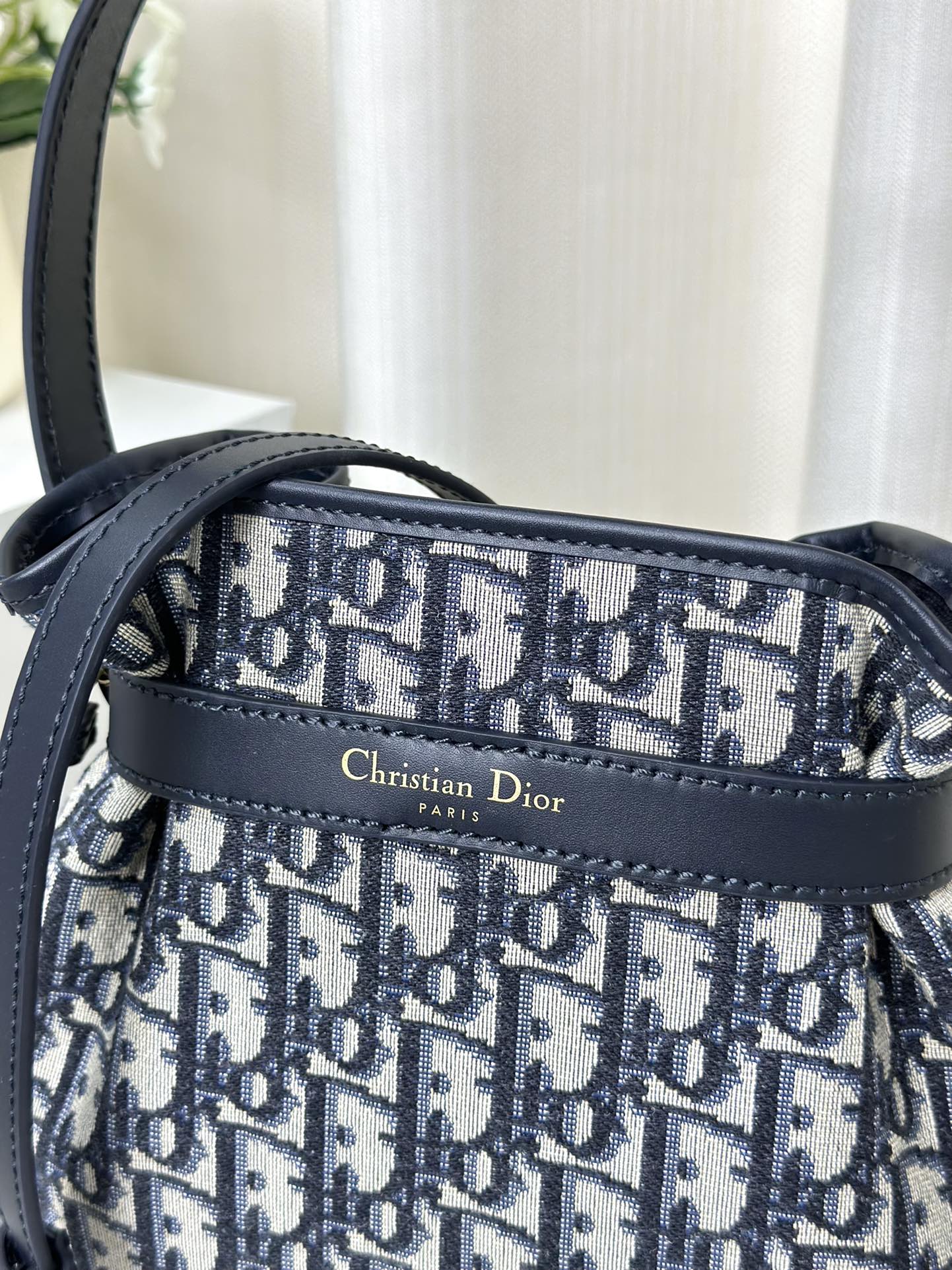 迪D家-2023秋季新款 C'EST DIOR 手袋 中號