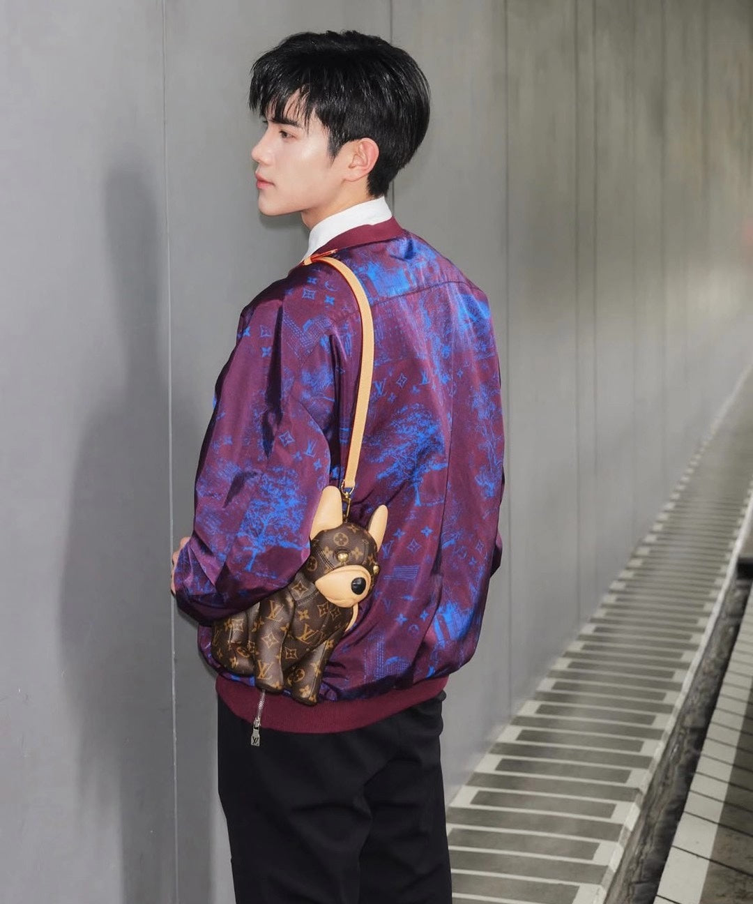路L家-M12617 POOCH BAG手袋法鬥狗 棕色