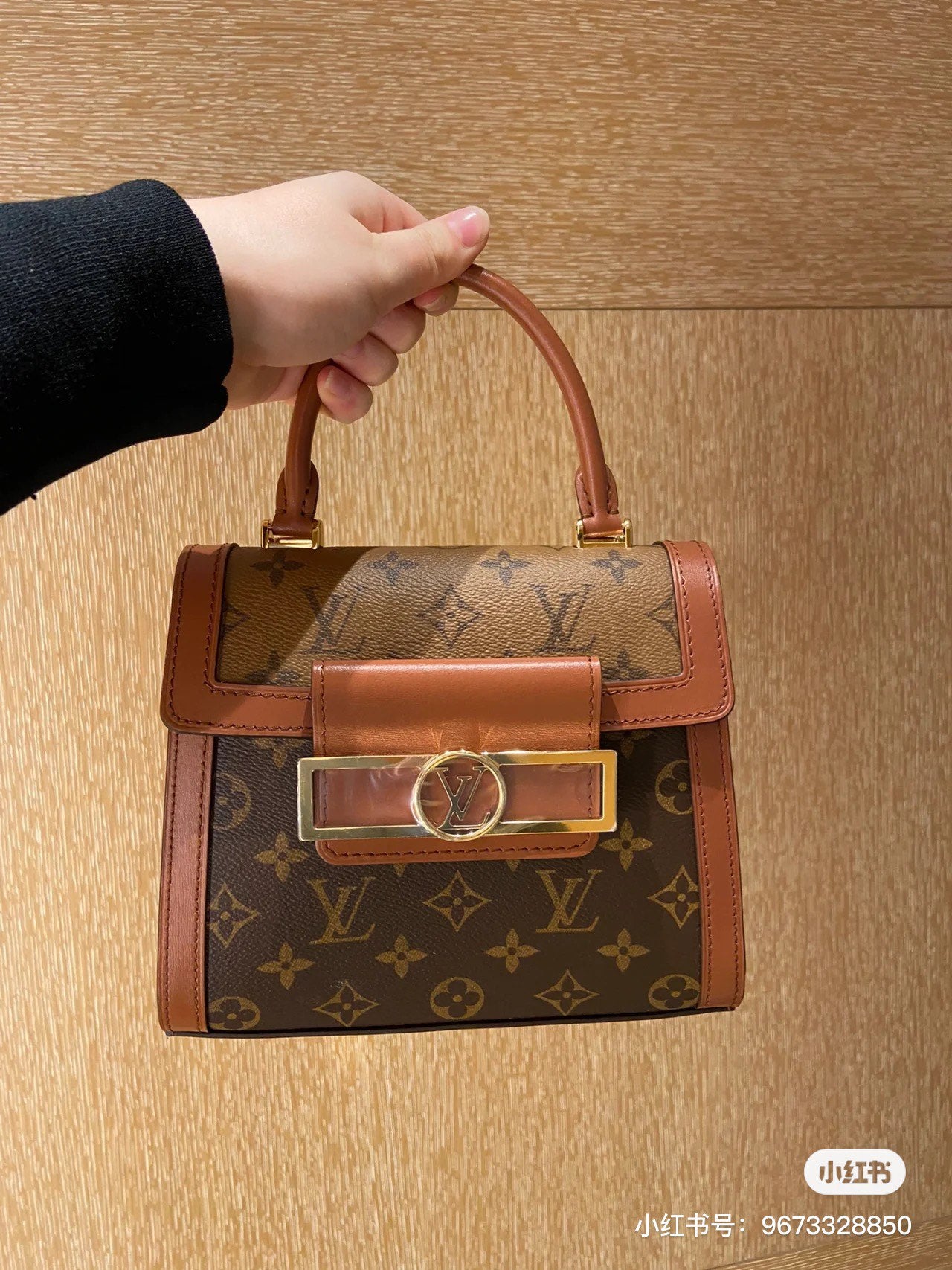 M46751 路L家-Dauphine Capitale 斜跨手提包 棕色撞色
