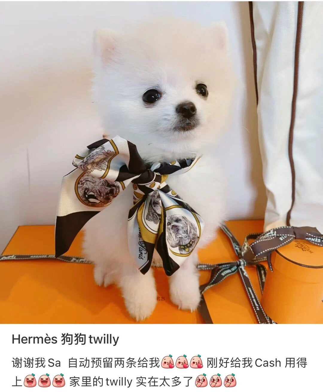 小愛款-Twilly 包包絲巾