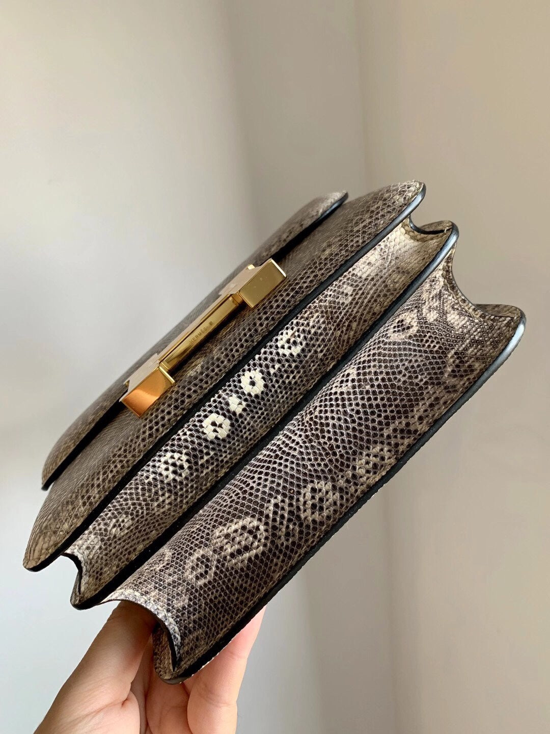 小愛款-Constance 19 Ombre  Lizard 金扣