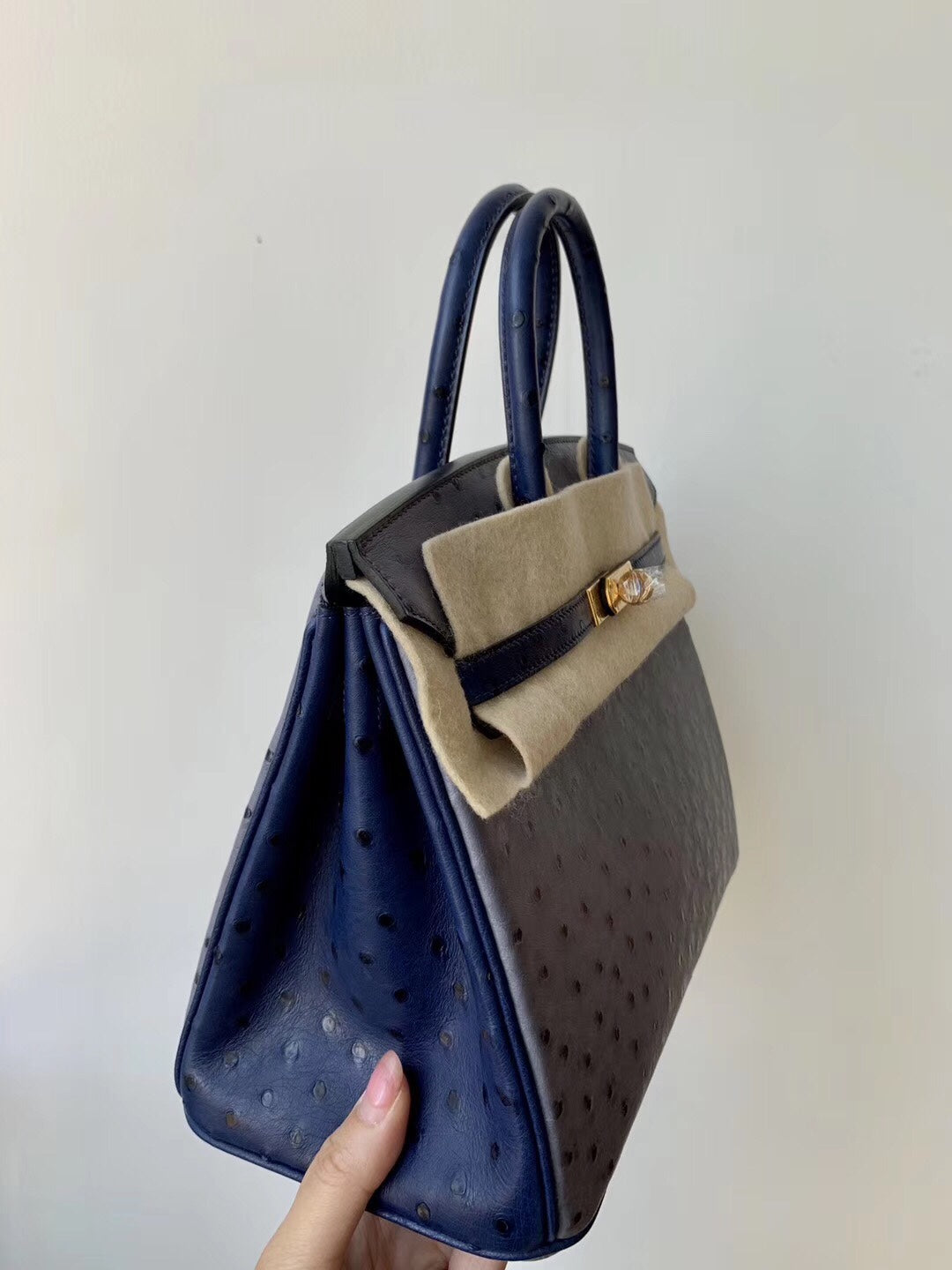 小愛款-Birkin 25 鴕鳥 金扣