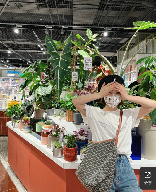 戈G家-單肩老花托特包 棕色