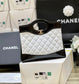 小香家-2023早秋系列 31bag 黑白色 Mini