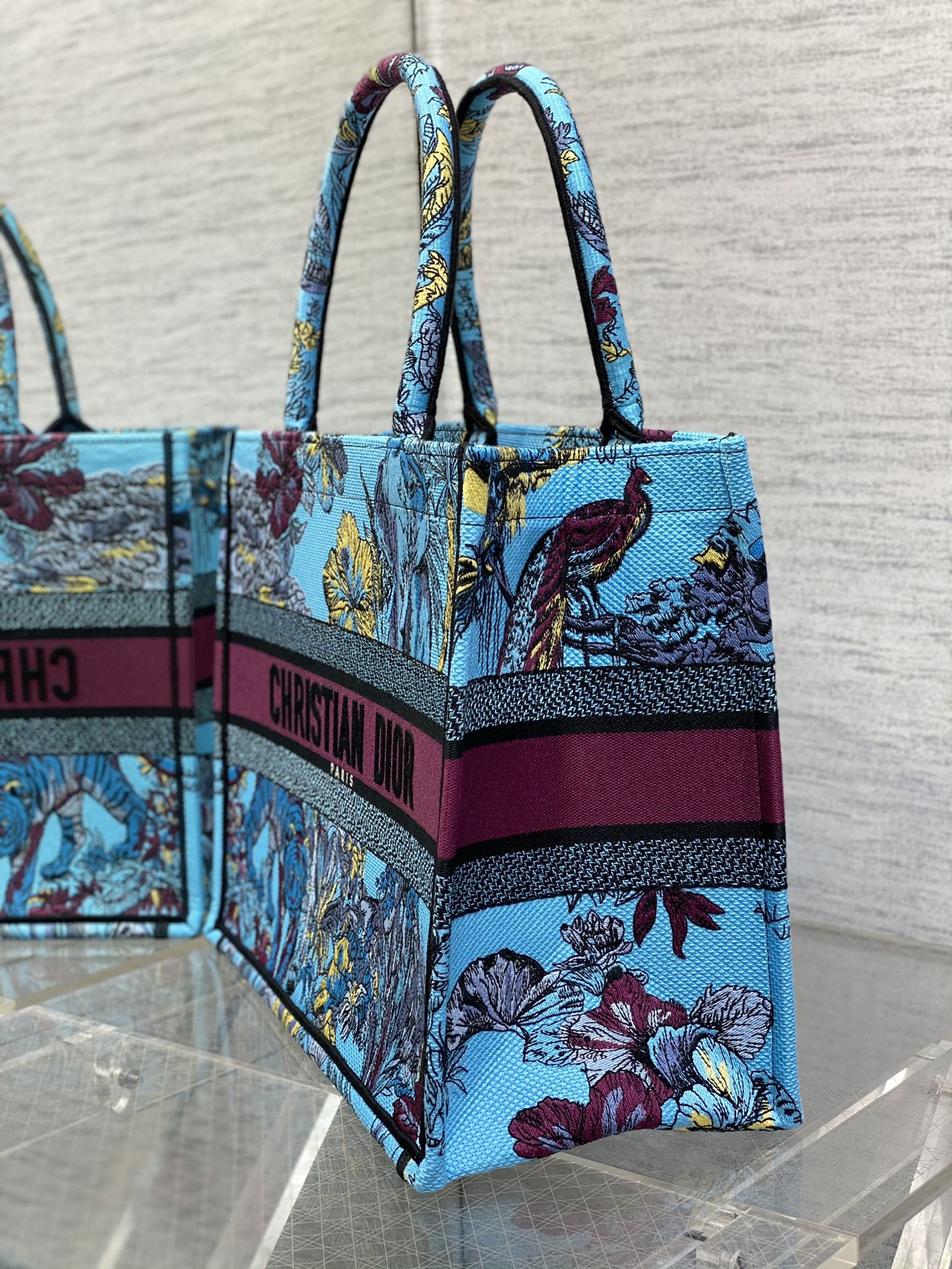 迪D家-Book Tote 2023春夏系列 動物園亮藍色 中號