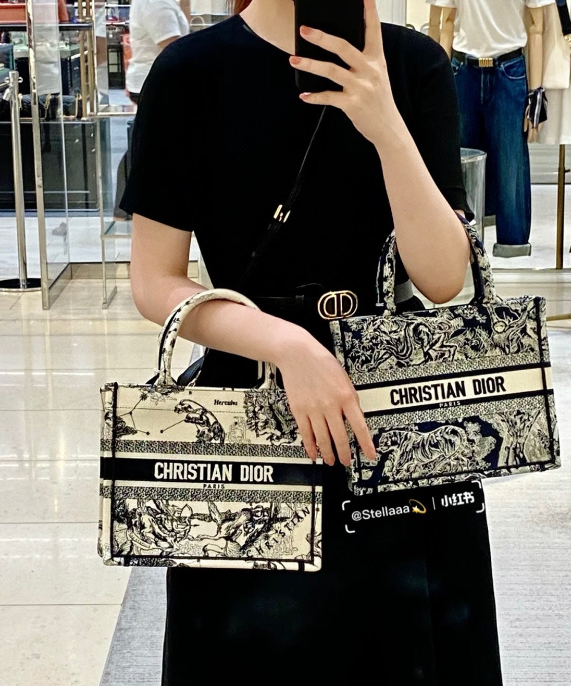 迪D家-2023春夏新款 Tote 星座系列米白色 小號