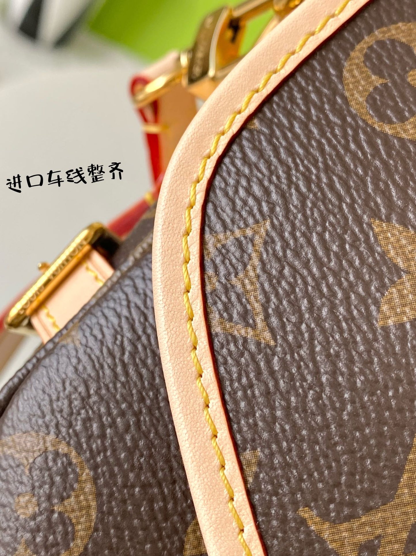 M46740 路L家-Saumur BB 手提斜肩包