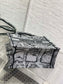 迪D家-Book Tote 2023春夏系列 巴黎地圖刺繡 灰色 小號