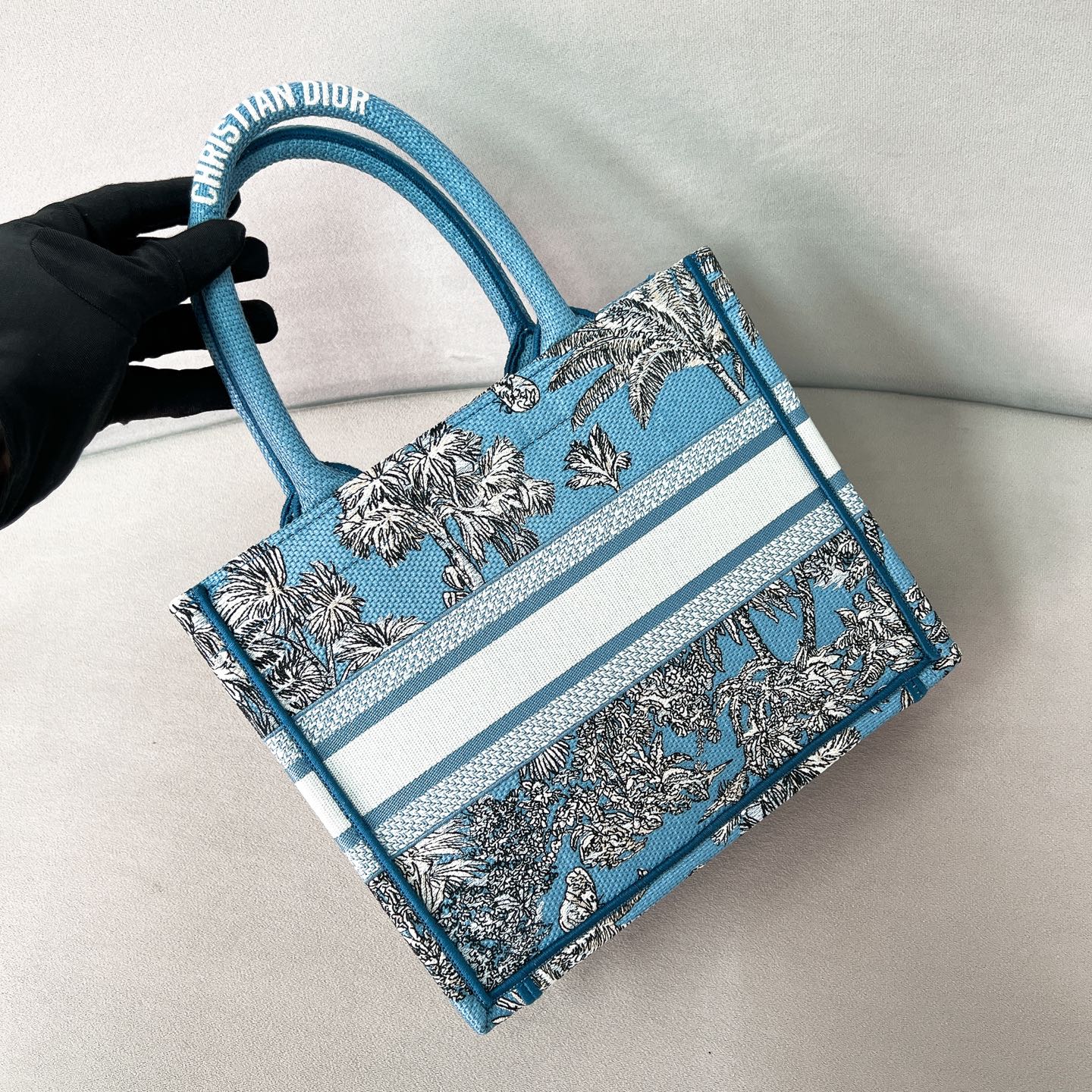 迪D家-BookTote 蝴蝶系列 托特包 天空藍