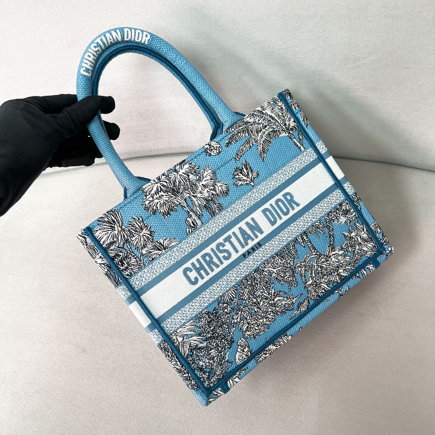 迪D家-BookTote 蝴蝶系列 托特包 天空藍