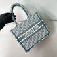 迪D家-BookTote Oblique系列 小號 刺繡綠色