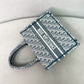 迪D家-BookTote Oblique系列 小號 刺繡綠色