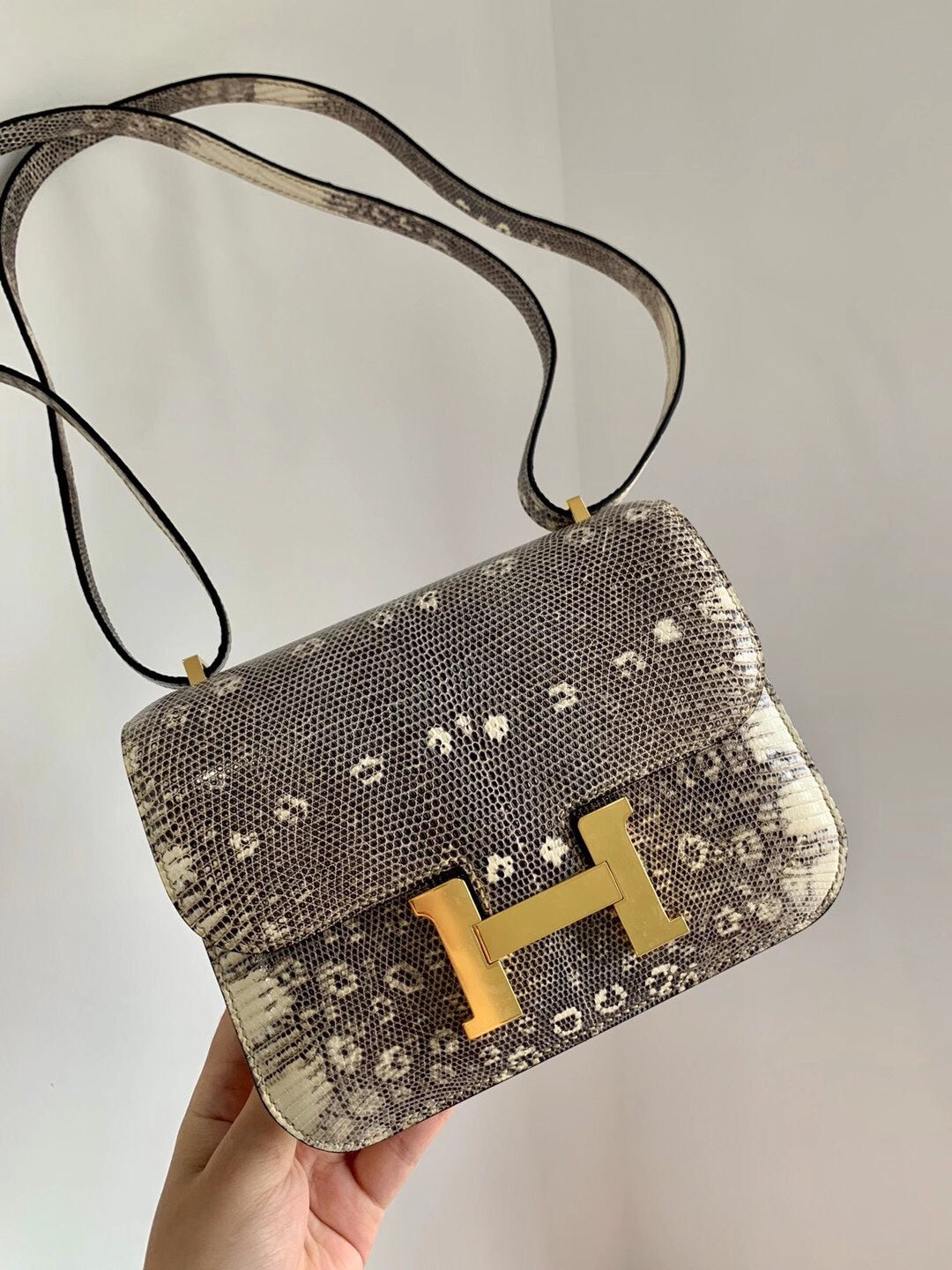 Hermes-Constanse mini 19-ombre Lizard 金扣