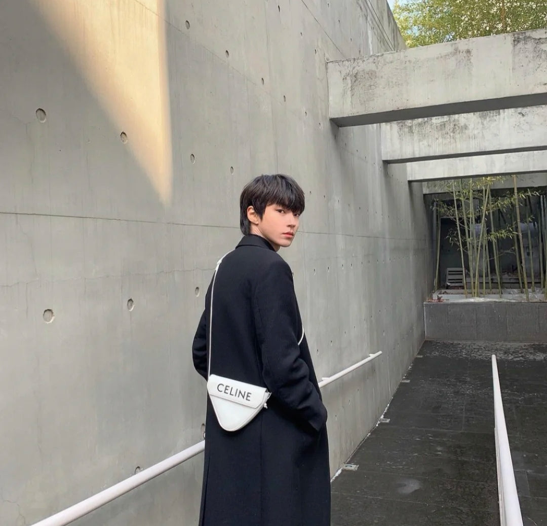 Celine 全皮三角包-大字母logo