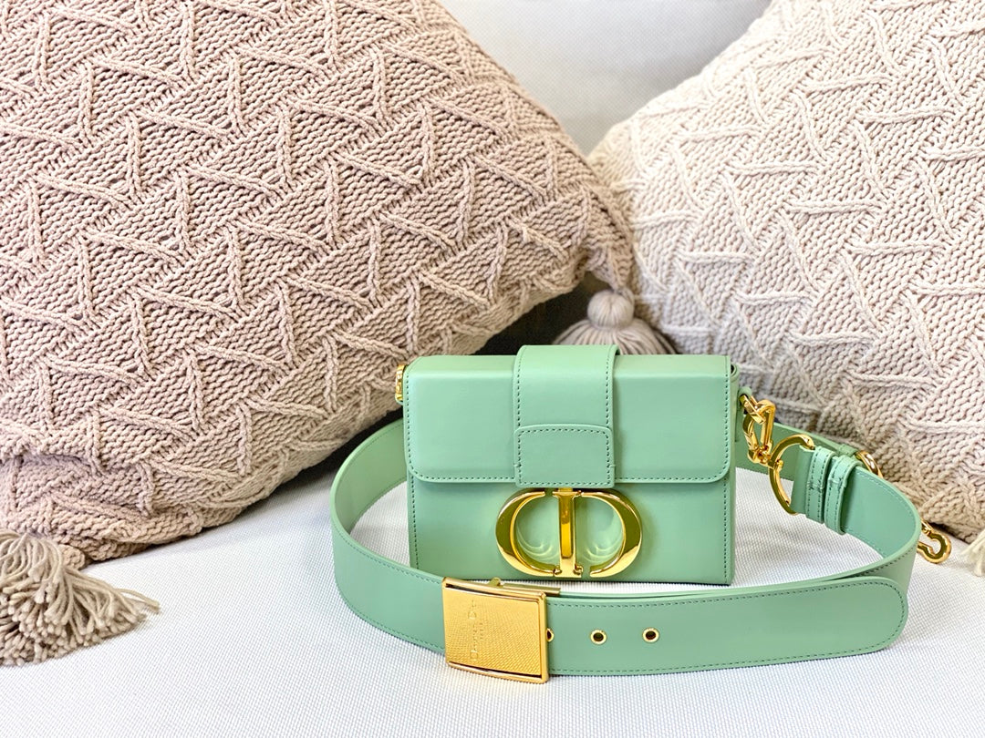 Dior 蒙田 Mini Box-平紋牛皮-金扣-17.5cm-薄荷綠