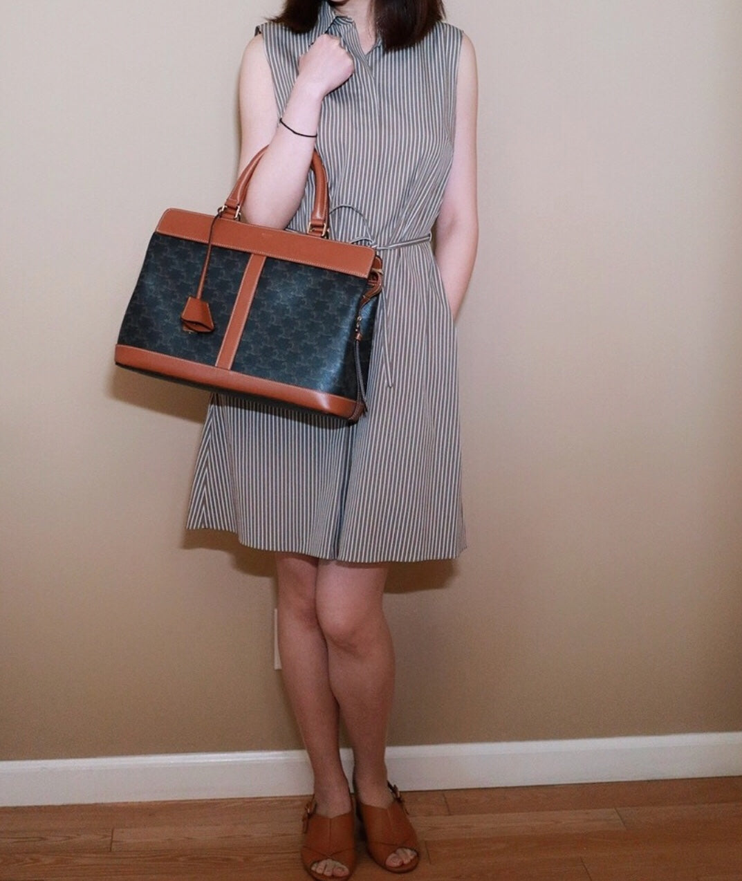 Celine Cabas de France 中號手袋