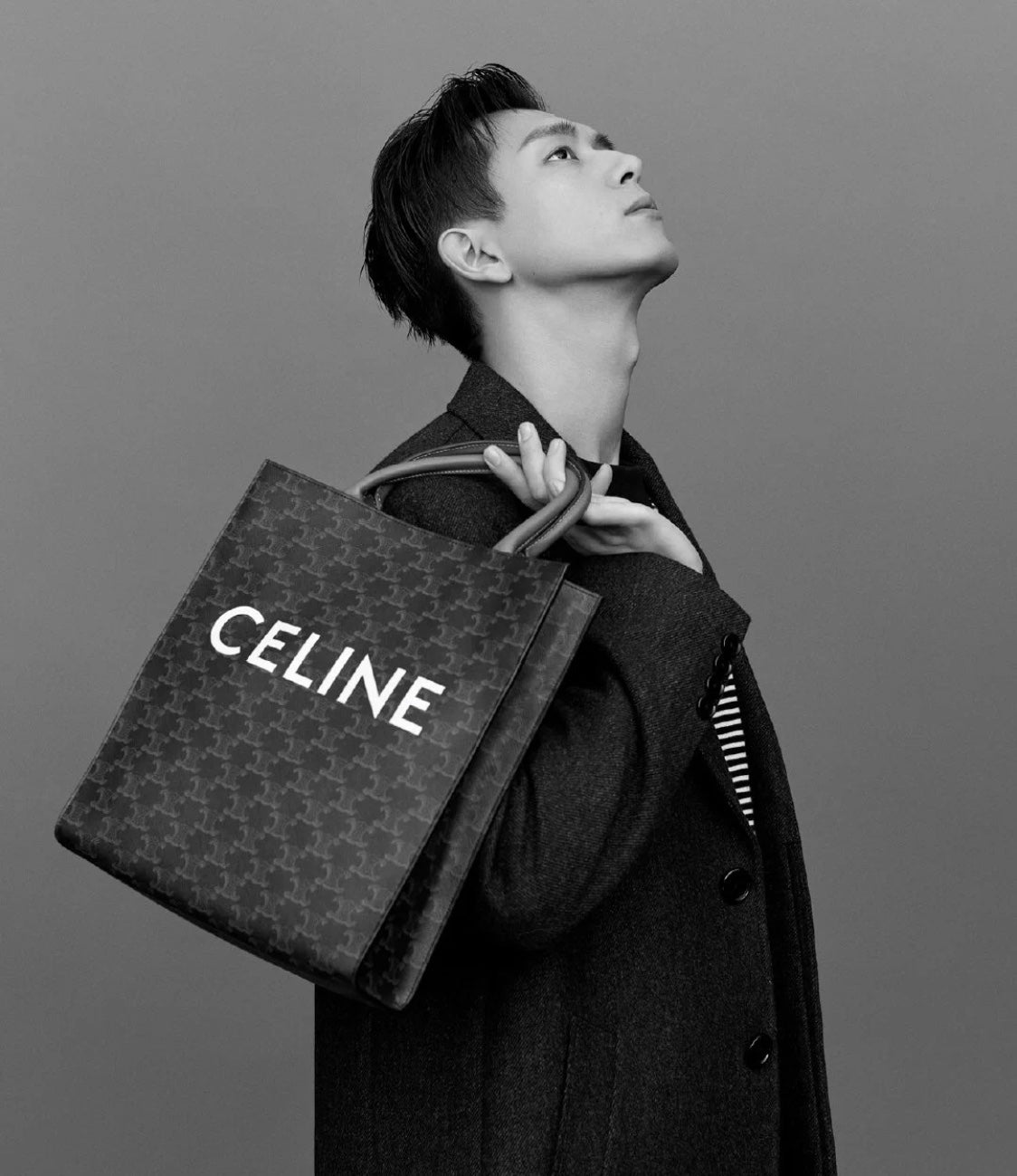 Celine Cabas 中號老花牛皮革