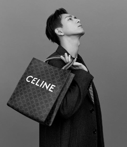 Celine Cabas 中號老花牛皮革