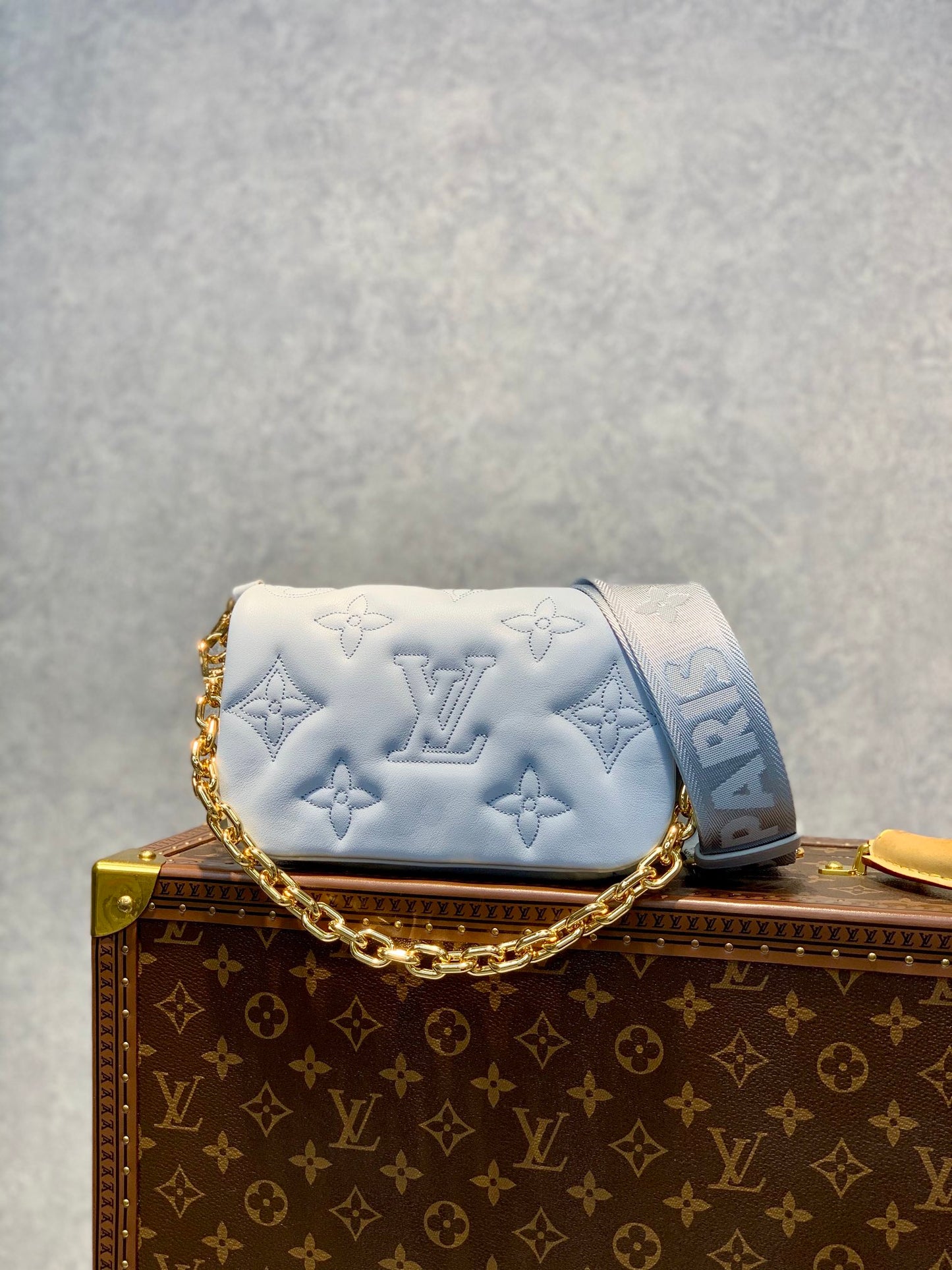 M81399 路L家-Wallet on Strap 手袋 鏈條包 淺藍色
