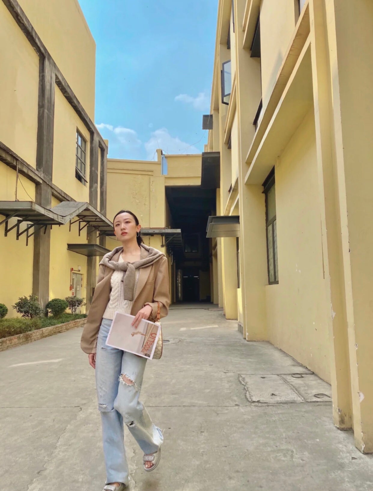 Celine AVA Triomphe帆布手袋-白色老花