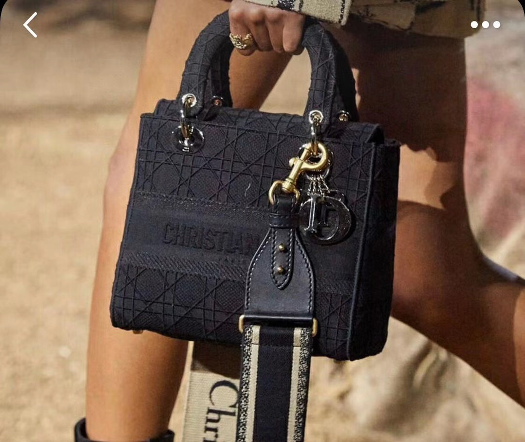 Dior Lady D-Lite黛妃包-刺繡黑色