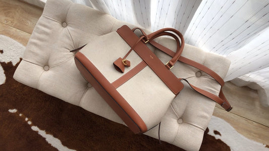 Celine Cabas de France 中號手袋
