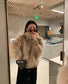 Celine 凱旋門老花三角形包