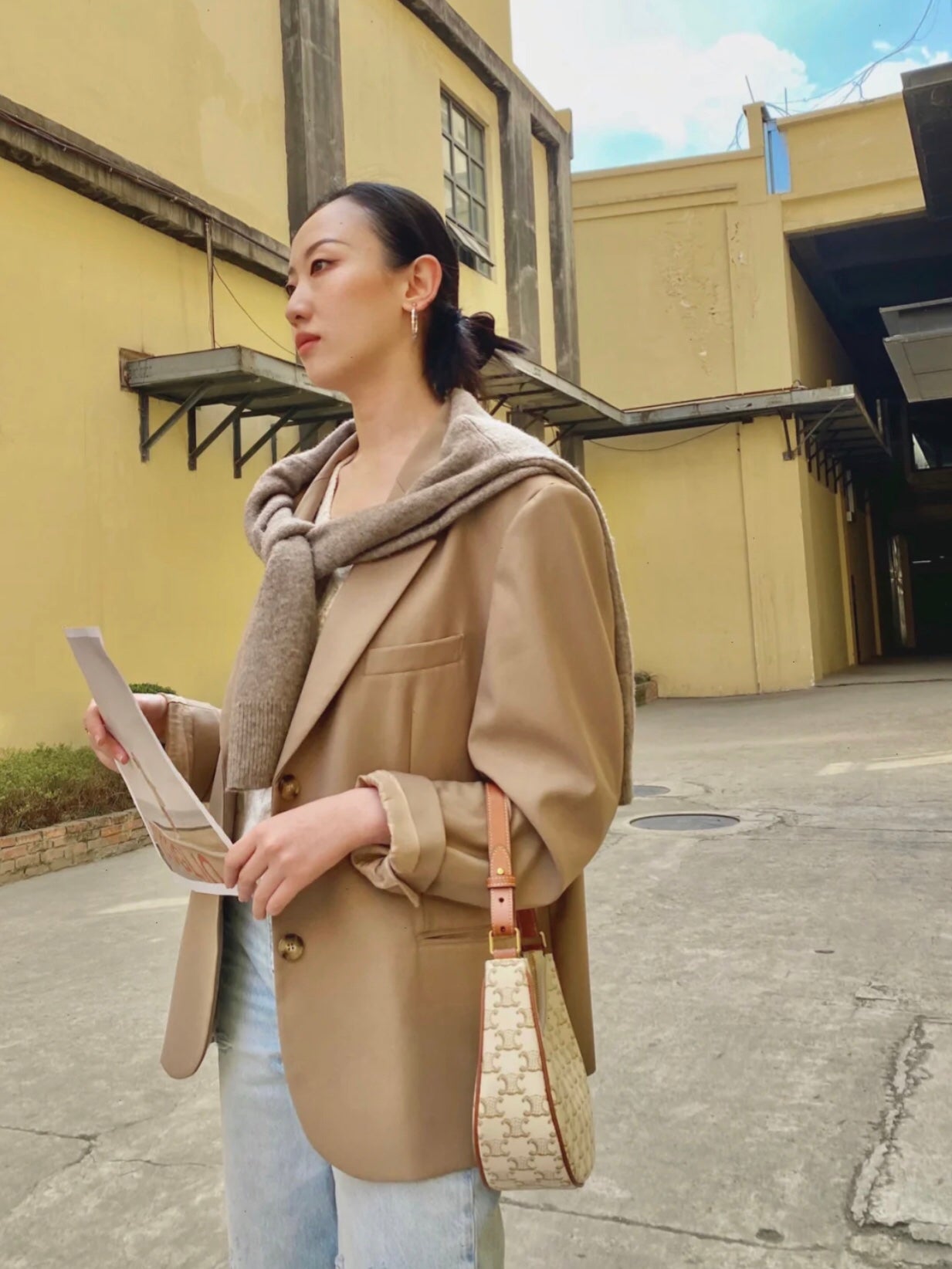 Celine AVA Triomphe帆布手袋-白色老花