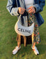 Celine AVA腋下包