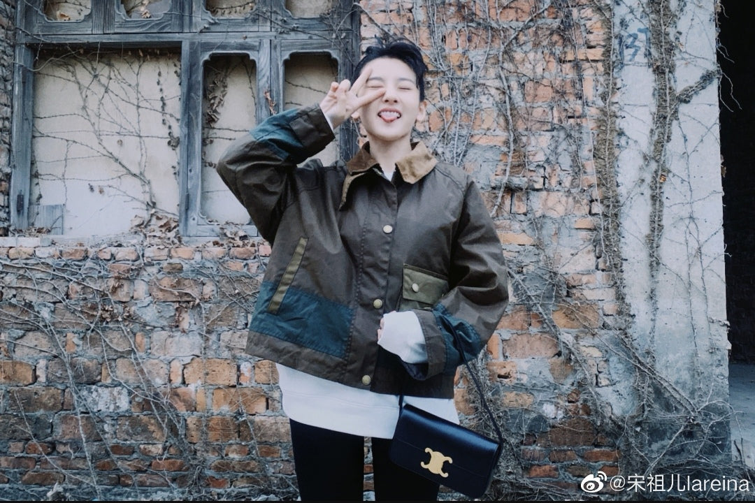 Celine Triomphe 牛皮革腋下包-黑色