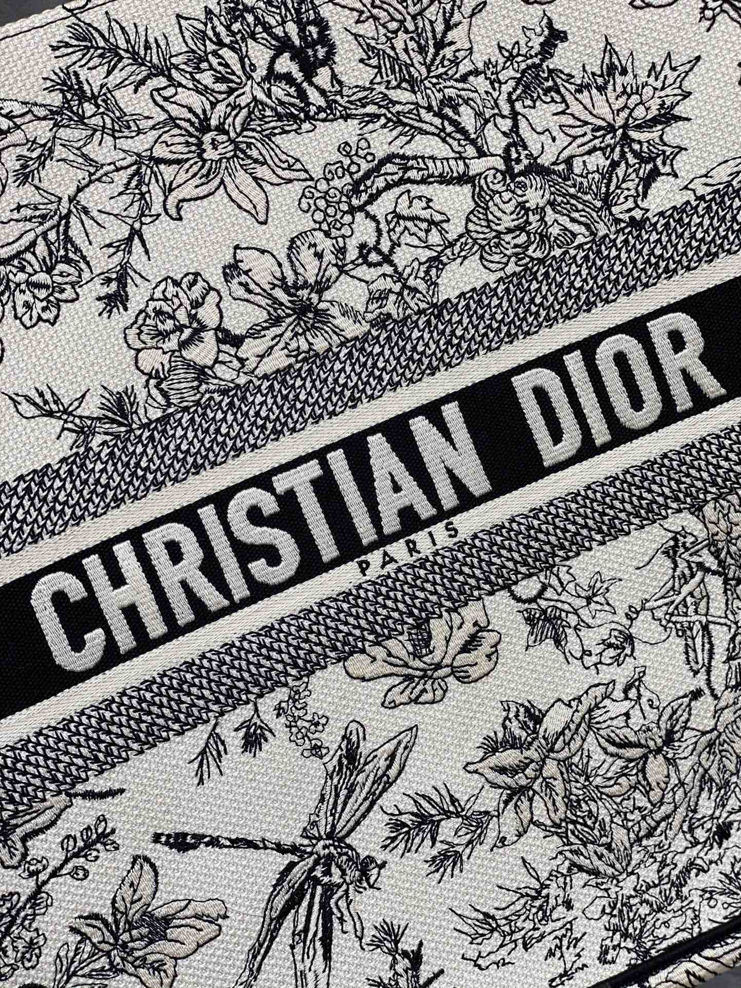 Dior Book Tote-大號41.5cm-蜻蜓系列
