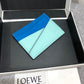 Loewe Plain Card Holder 多色拼接皮革卡包