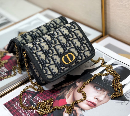 Dior 老花帆布鏈條卡包/腰包