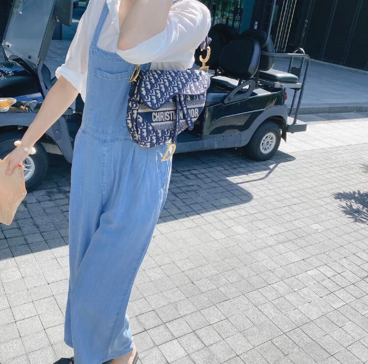 Dior Saddle 馬鞍包-2020天鵝絲絨