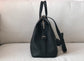 Celine Cabas de France 中號手袋
